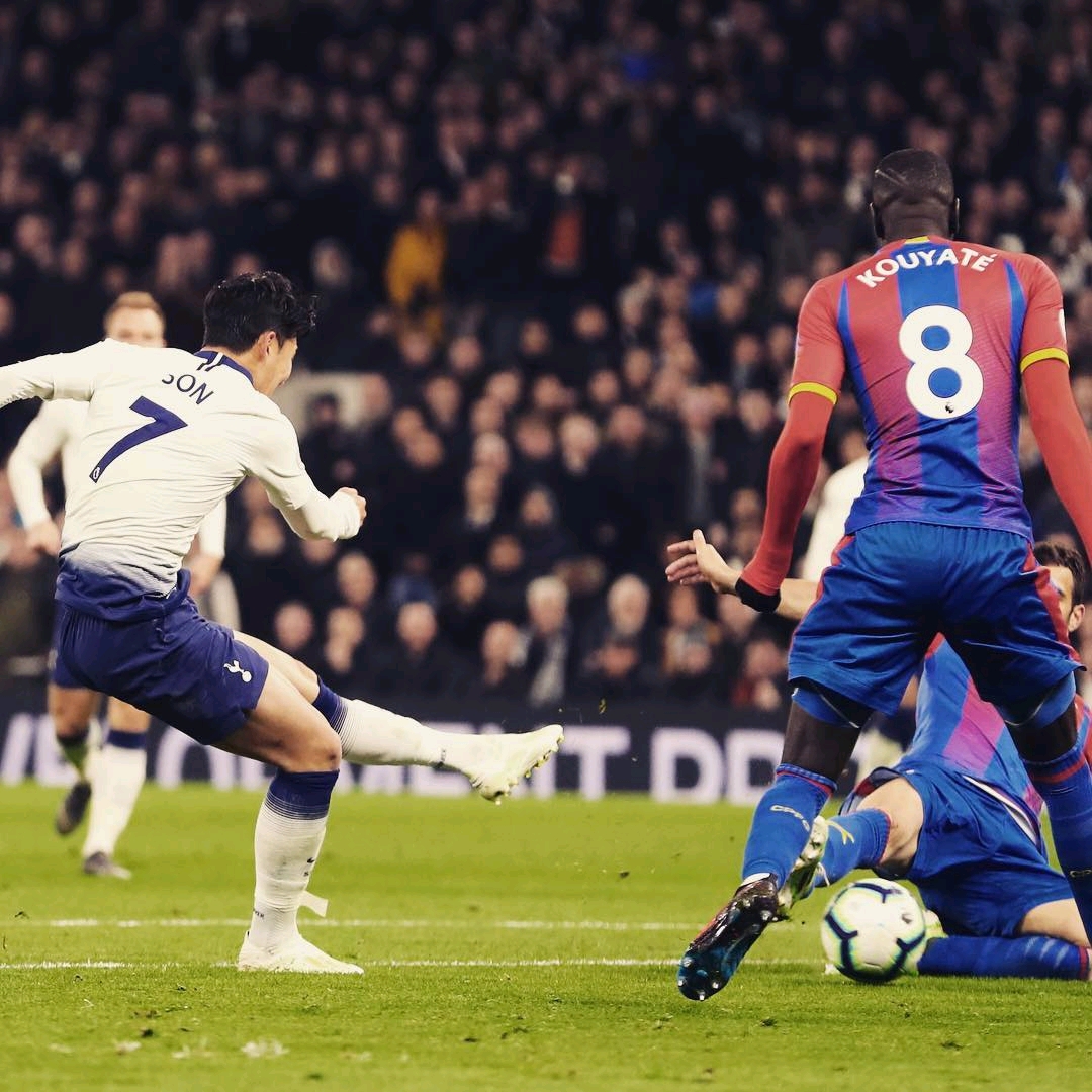 他还极大提 他还极大提